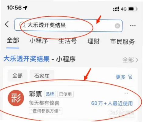 大乐透开奖结果查询结果延迟或错误怎么办？